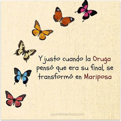 imágenes de mariposas hermosas con frases